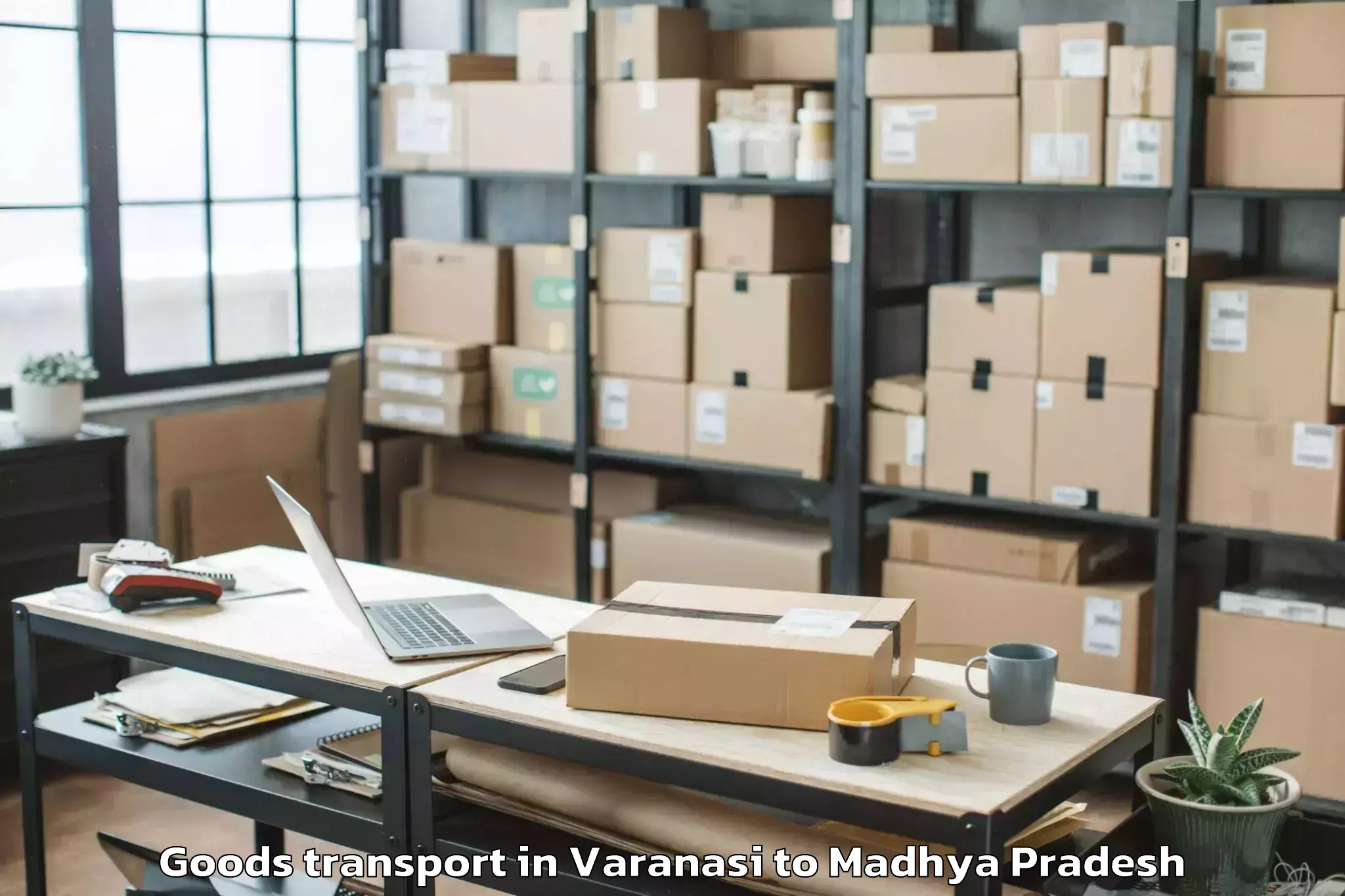 Easy Varanasi to Gwalior Airport Gwl Goods Transport Booking